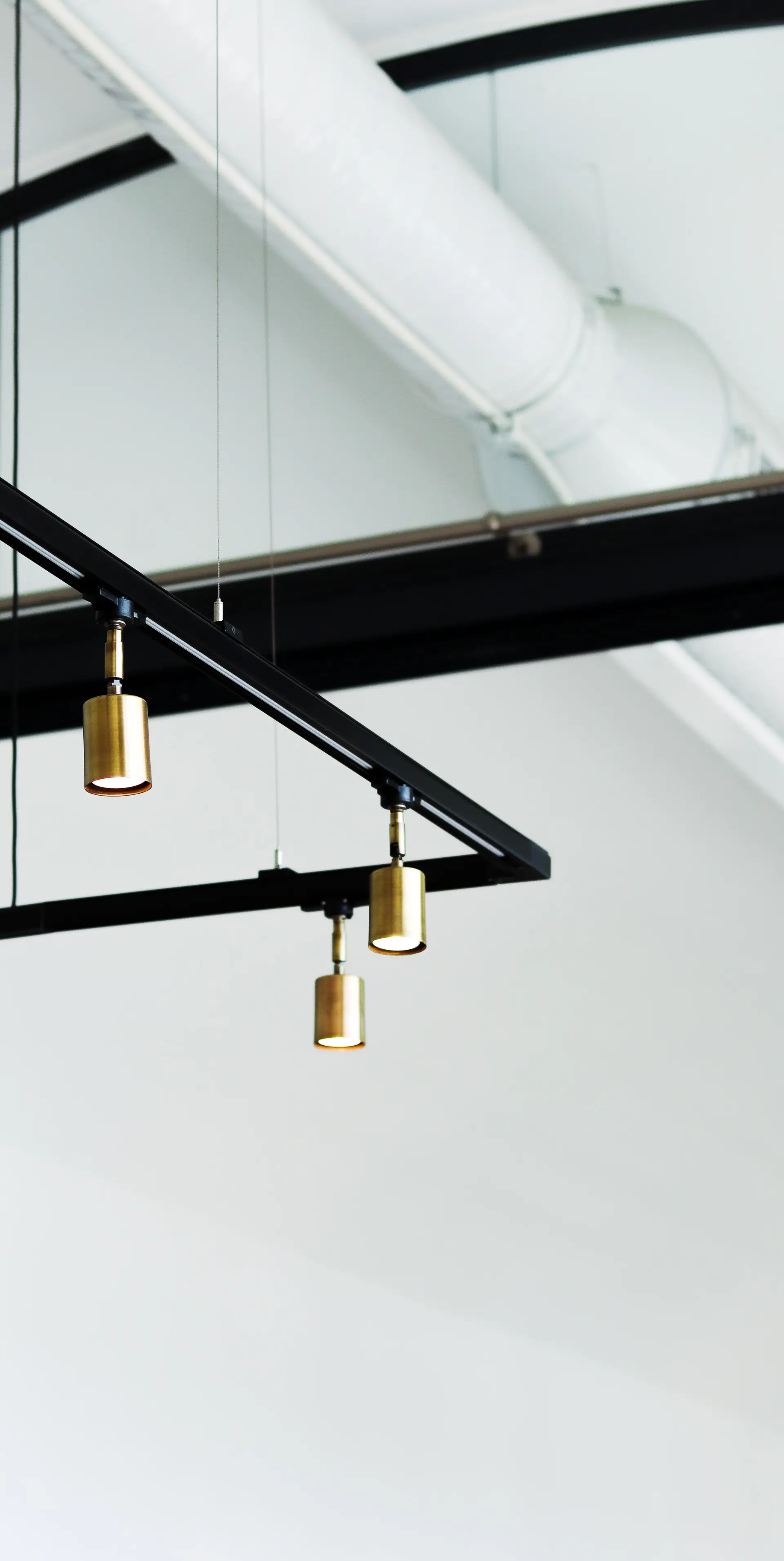 Sculptural brass and blackened metal pendant lighting fixtures